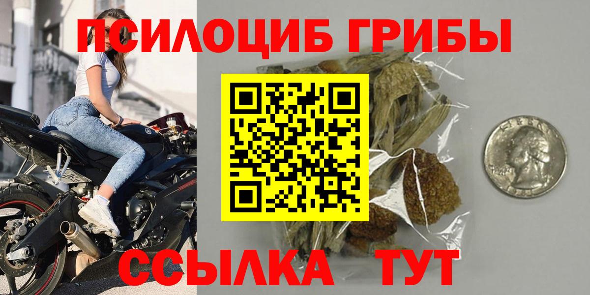 Псилоцибиновые грибы прущие грибы  Псилоцибиновые грибы мухоморы  Вход с VPN  Новозыбков 