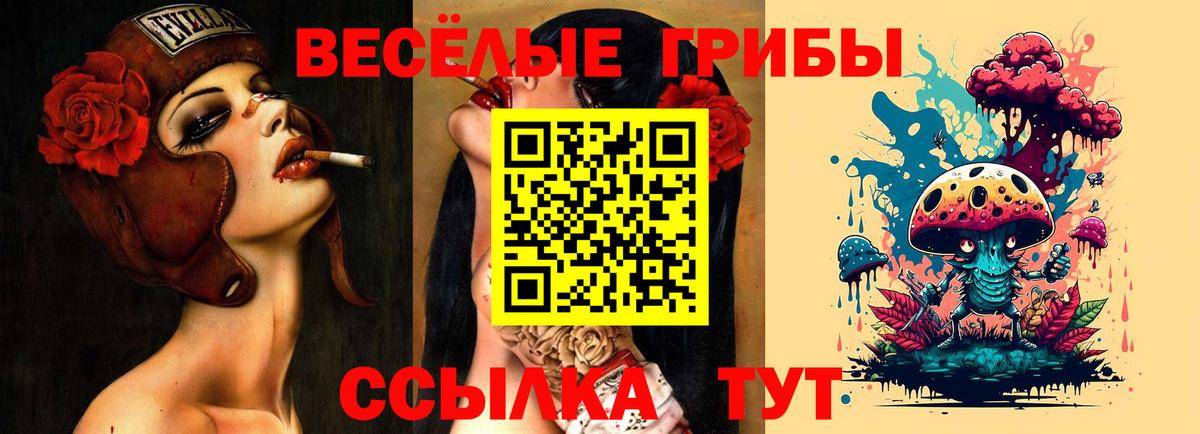 Псилоцибиновые грибы мухоморы Новозыбков
